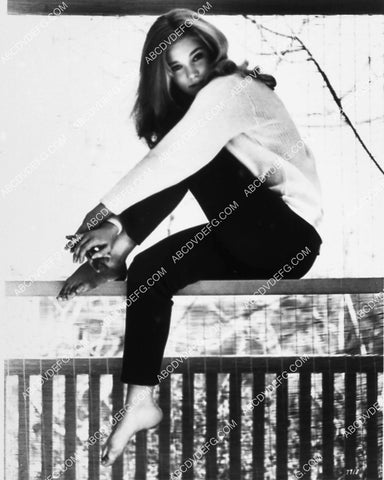 beautiful Yvette Mimieux 2162-14