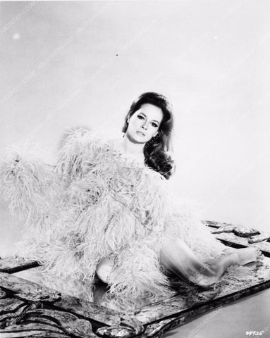 Lucianna Paluzzi portrait 2168-04