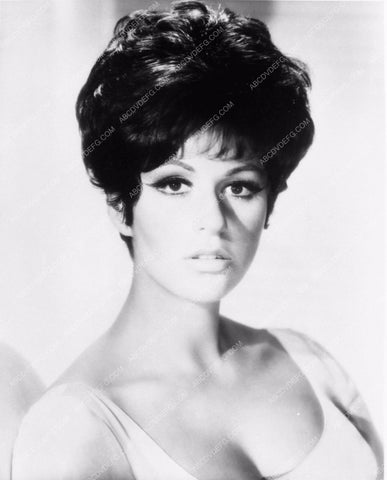 Lainie Kazan portrait 2176-16