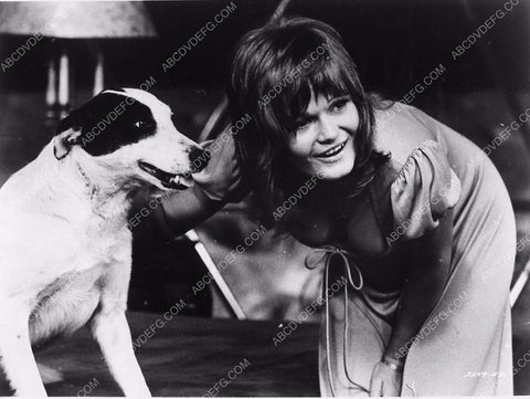 Valerie Perrine petting the dog 2244-20