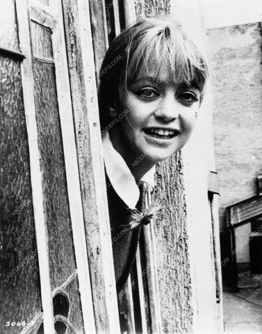 cute and perky Goldie Hawn early portrait 2245-23