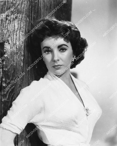 beautiful Elizabeth Taylor portrait 2309-11