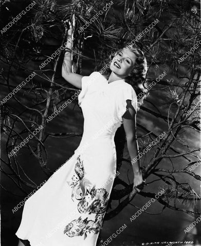 beautiful Rita Hayworth 2380-33
