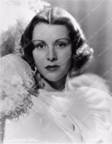 Frances Dee portrait 2536-08