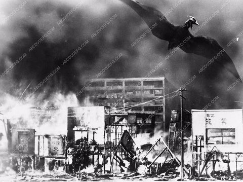 Rodan 2546-08
