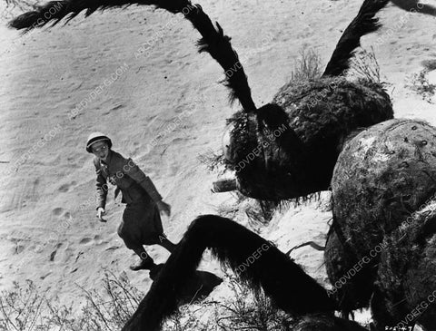 Joan Weldon and a giant ant classic sci-fi film Them 2717-19