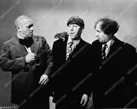 3 Stooges Curly Moe Larry and a squirrel short subject 2717-27