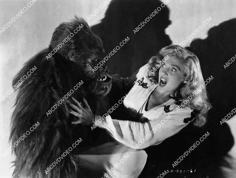 Jayne Hazard attacked by man in gorilla ape suit film Crazy Knights 2729-14