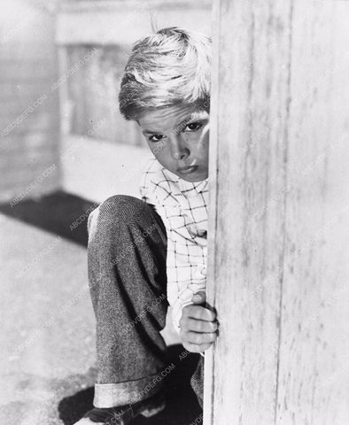 Dickie Moore portrait child star 2816-35