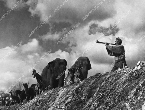 John Huston rounding up the animals film The Bible 3051-27