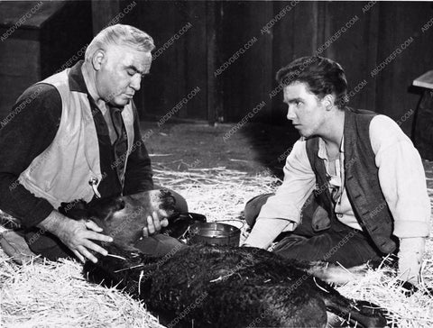Lorne Green TV show Bonanza 3090-13