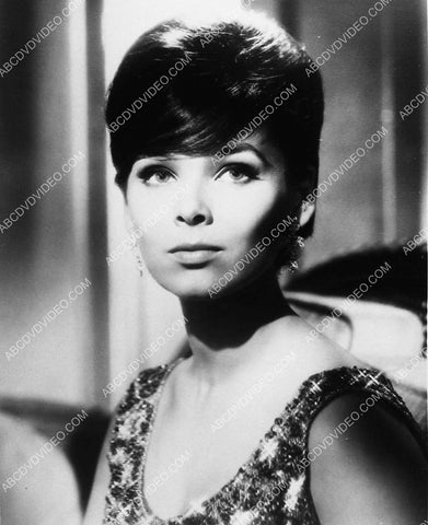 beautiful Yvonne Craig portrait 3105-04