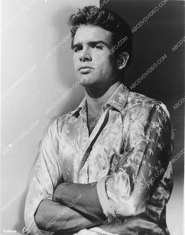 early Warren Beatty portrait 3176-26