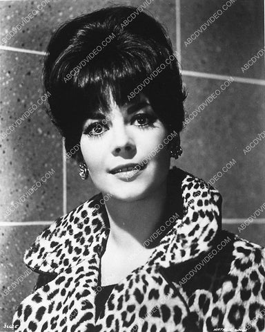 beautiful Natalie Wood portrait 3176-28