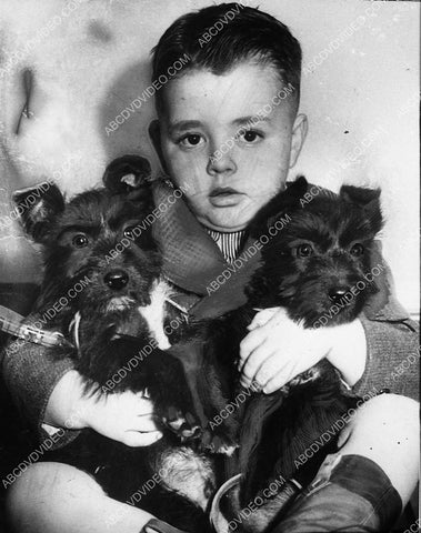 news photo Spanky McFarland w his new scotty terrier dogs 3220-31