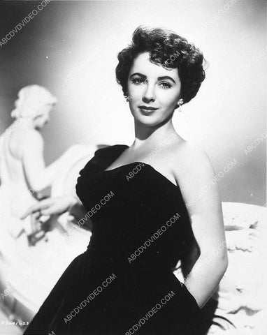 beautiful Elizabeth Taylor portrait 3259-09
