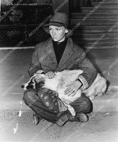 Veronica Lake with the dog film Sullivan's Travels 3275-22