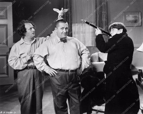 Three Stooges Moe Larry Curly comedy short subject 3285-13
