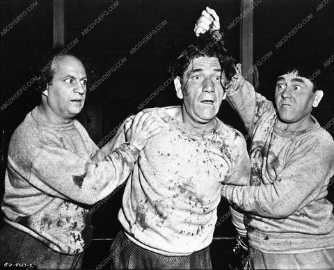 Three Stooges Moe Larry Shemp comedy short subject 3293-27