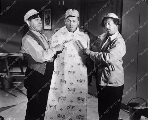 3 Stooges Moe Larry Curly comedy short A Bird in the Head 3388-30