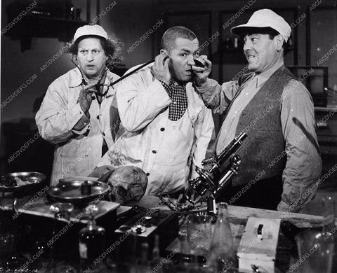 3 Stooges Moe Larry Curly comedy short A Bird in the Head 3388-31