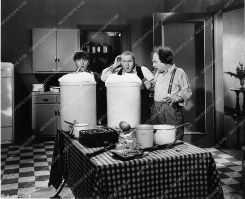 Three Stooges Moe Larry Curly comedy short Beer Barrel Polecats 3389-05