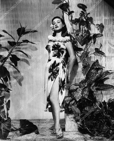 Dorothy Lamour portrait 3468-15