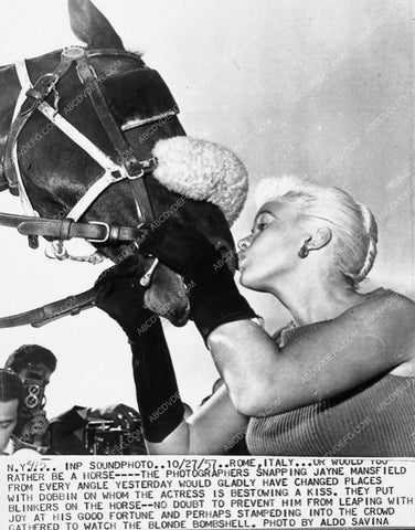 Jayne Mansfield and horse 3488-33