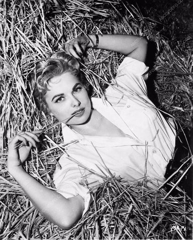Martha Hyer lying in the hay 3502-24