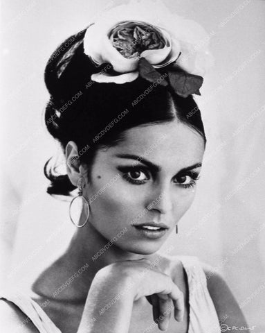 Daliah Lavi portrait 3502-29