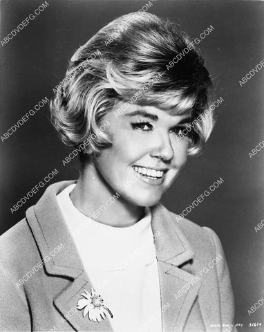 great Doris Day portrait 3533-11