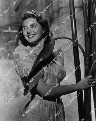 gorgeous Ingrid Bergman portrait 3533-17