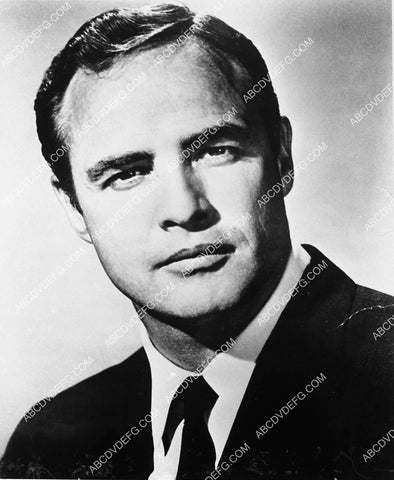 Marlon Brando portrait 3533-31