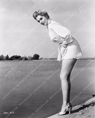 Martha Hyer cheescake 3544-23