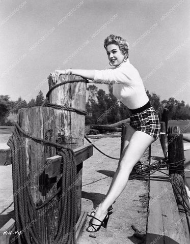 Martha Hyer cheesecake shorts 3544-33