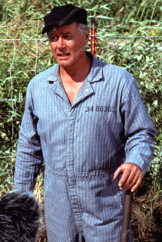 Larry Hagman TV Dallas 35m-10985
