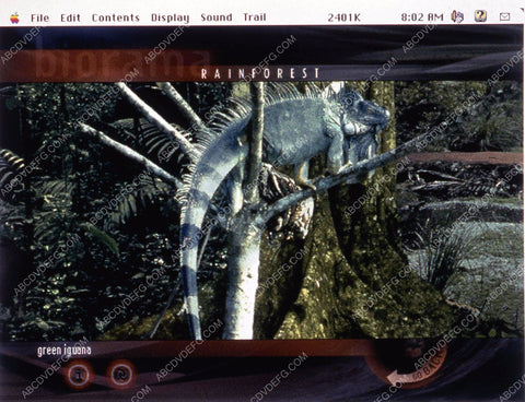 ABC's Wild World of Animals featuring the green iguana 35m-11119