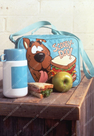 animated character Scooby Doo lunch pack box 35m-11460