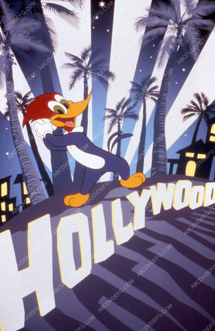 animated character Woody Woodpecker on the Hollywood Sign 35m-12239