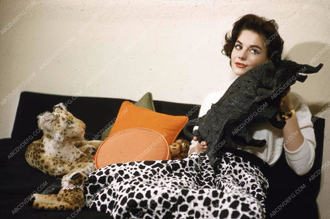 great candid Natalie Wood 35m-13120