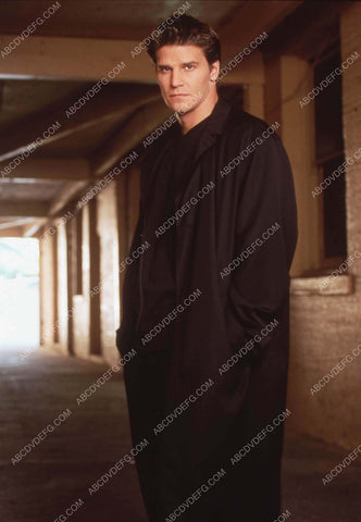 David Boreanaz portrait TV Angel 35m-13458