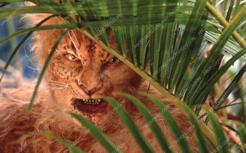 monster in the jungle film The Island of Dr. Moreau 35m-13538-3