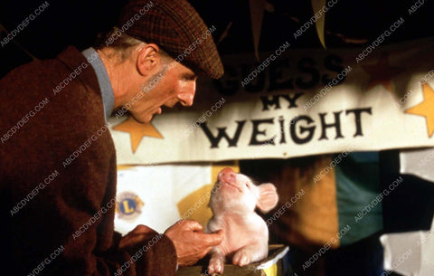 James Cromwell and the pig film Babe 35m-13895