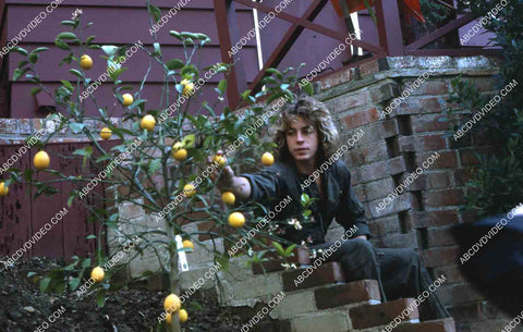 Leif Garrett picking a lemon in the backyard 35m-14272