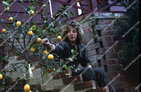 Leif Garrett picking a lemon in the backyard 35m-14276