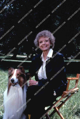 June Lockhart and the dog TV The Story of Lassie 35m-14459