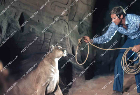 Lee Majors dealing w a cougar TV The Six Million Dollar Man 35m-14760