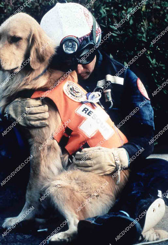 rescuer w k-9 helper Animal Planet documentary TV Breed All About It 35m-15923