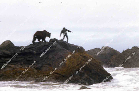 Robert Logan fighting the bear film The Sea Gypsies aka Shipwreck 35m-16228