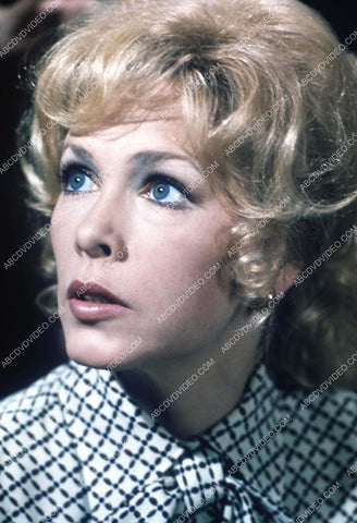 Stella Stevens portrait 35m-17055